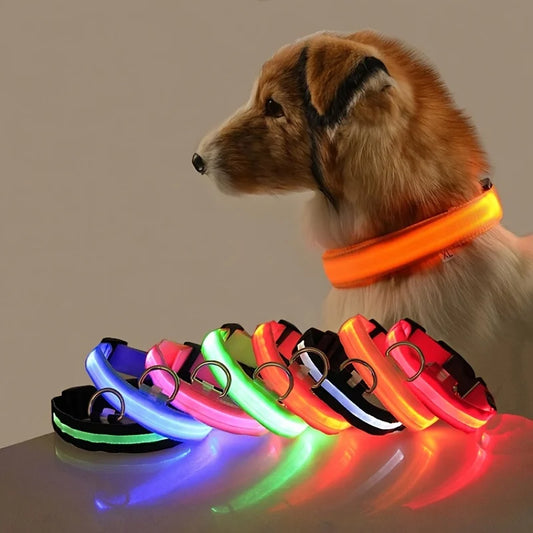 LED Nylon Dog Leash – Glow in the Dark Safety Leash for Dogs
