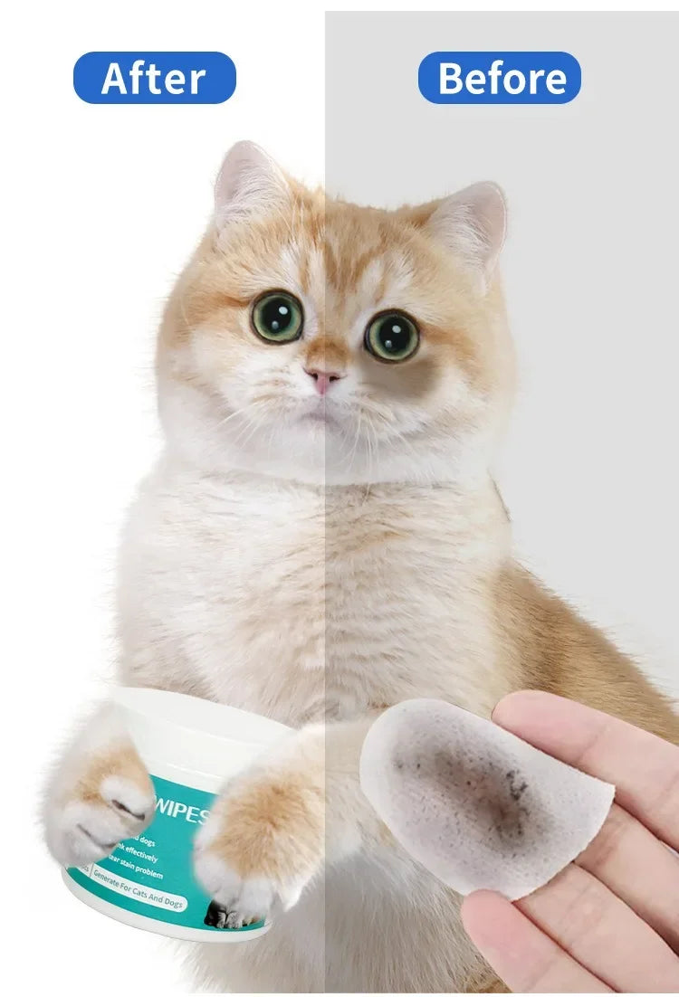 Pet Eye Wipes – Tear Stain Remover & Cleaning Wet Tissues for Cats