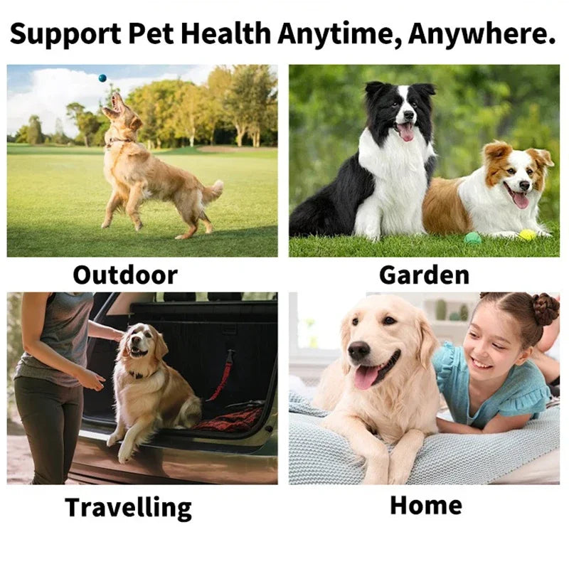 Pet Eye Wipes – Tear Stain Remover & Cleaning Wet Tissues for Cats