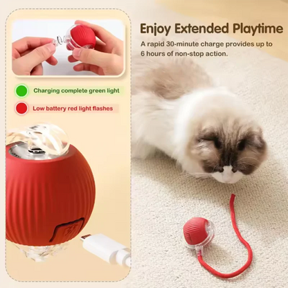 Intelligent Interactive Cat Ball – Durable Obstacle-Avoiding Pet Toy